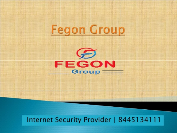 fegon group