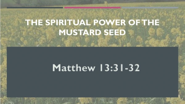 Sermon Sunday August 18, 2019 in Matthew 13:31-32 - Mustard Seed Parable