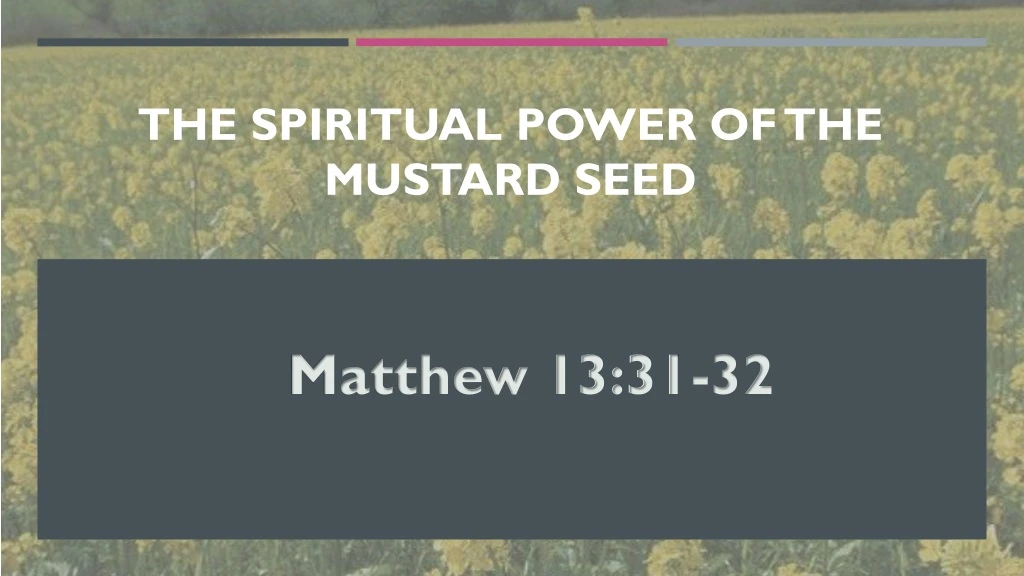 the spiritual power of the mustard seed
