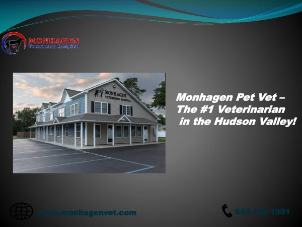 Monhagen Pet Vet - The #1 Veterinarian in the Hudson Valley!