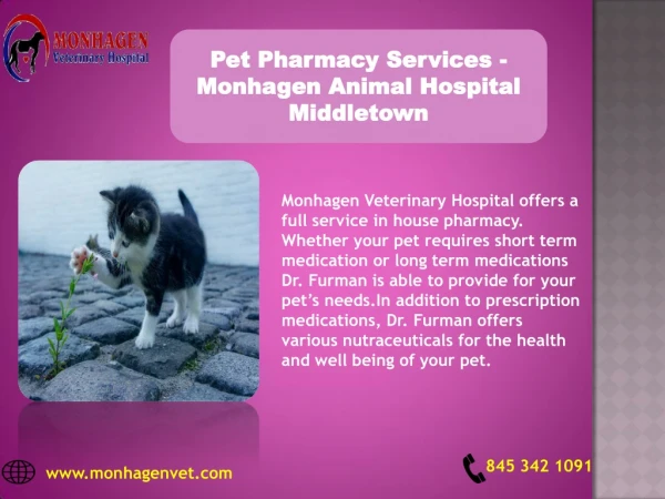 Pet Pharmacy Services - Monhagen Animal Hospital Middletown