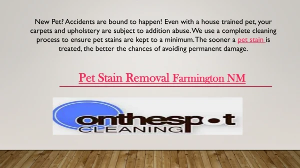 Pet Stain Removal Farmington NM