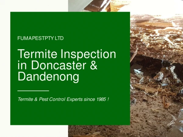 Termite Inspection Doncaster | Termite Inspection Dandenong