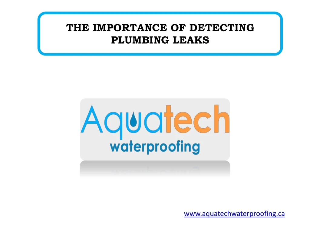 the importance of detecting plumbing leaks