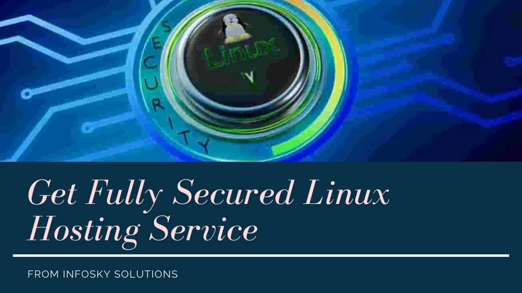 get fully secured linux hosting service