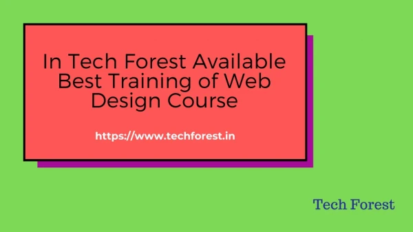 Web Design: Find the Best Training from Tech Forest