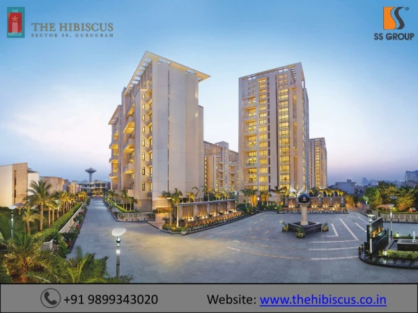 The Hibiscus in Sector 50, Gurgaon | Call@ 9899343020