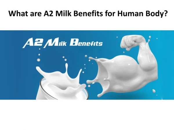 What are A2 Milk Benefits for Human Body? | GFO Farming