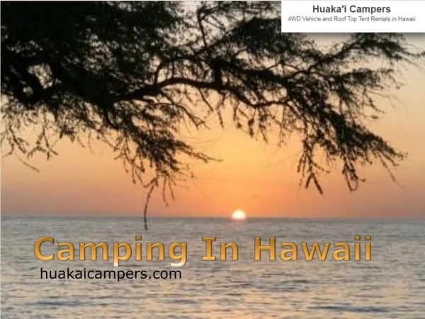 Camping In Hawaii