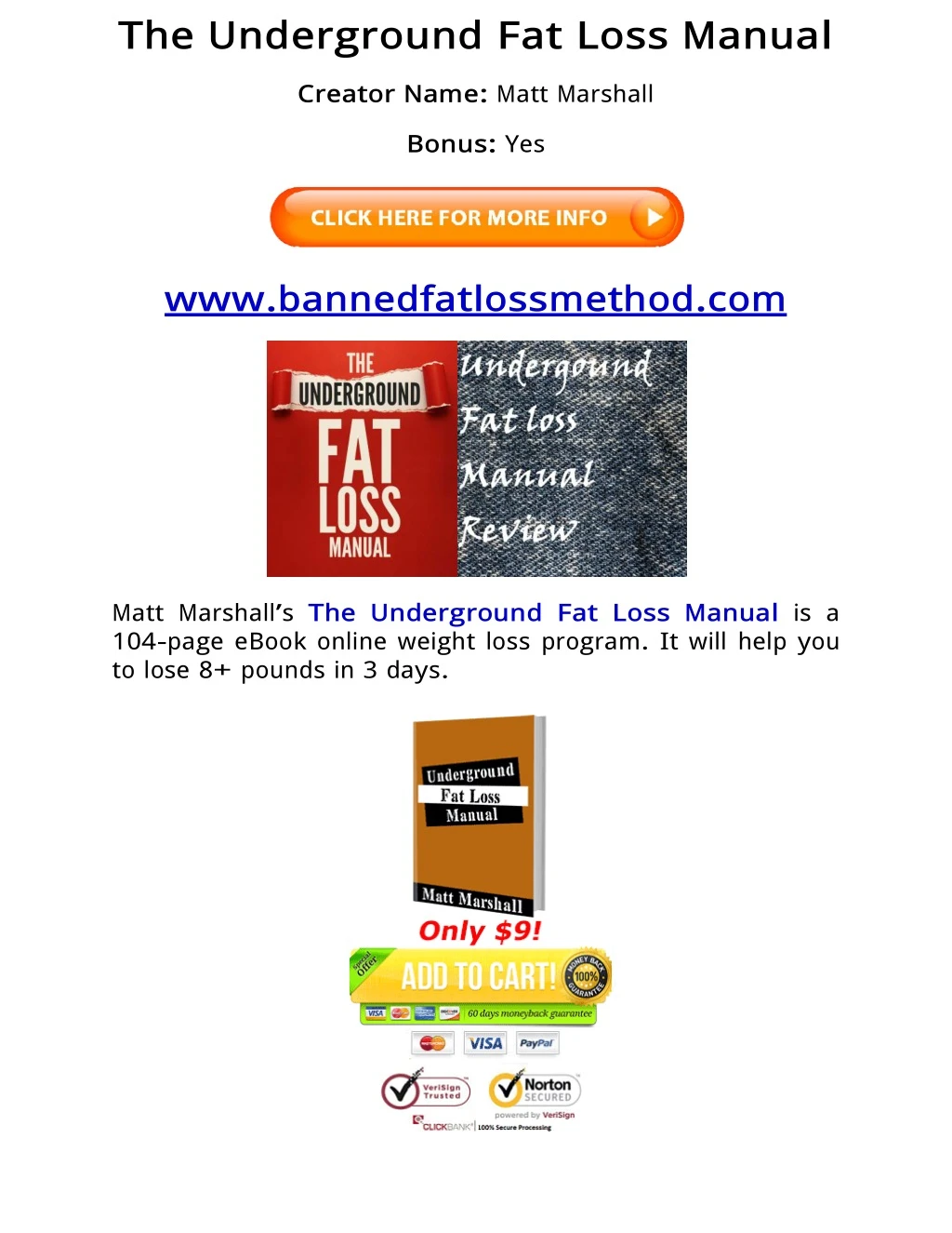 the underground fat loss manual