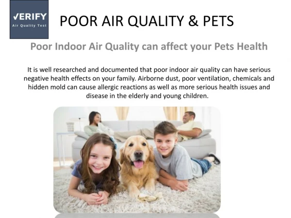 AIR QUALITY AND PETS