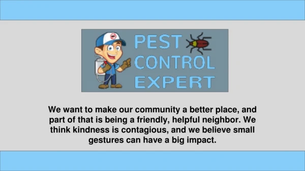 Pest Inspection Services - Pest Control Expert