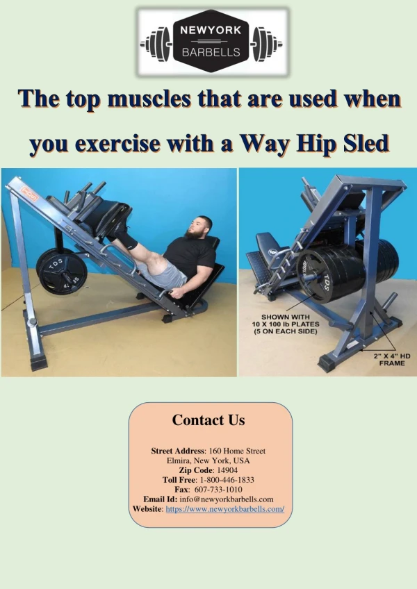 The top muscles that are used when you exercise with a Way Hip Sled