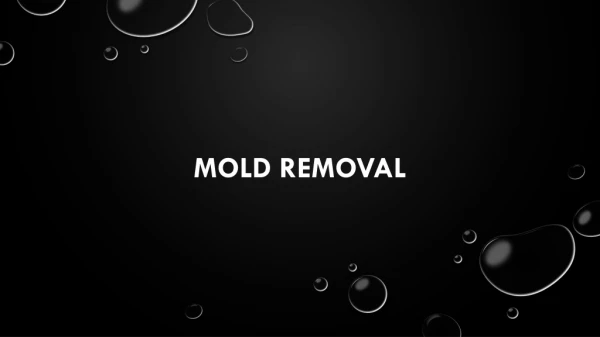 Attic Mold Removal Service Portland OR