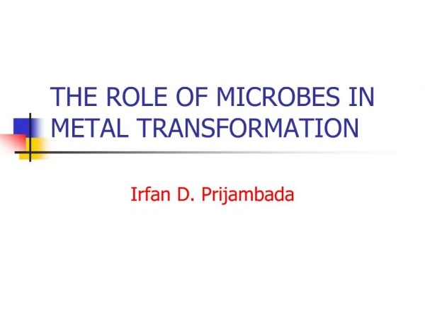 THE ROLE OF MICROBES IN METAL TRANSFORMATION