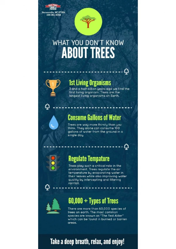 What You Don't Know About Trees[INFOGRAPHIC]