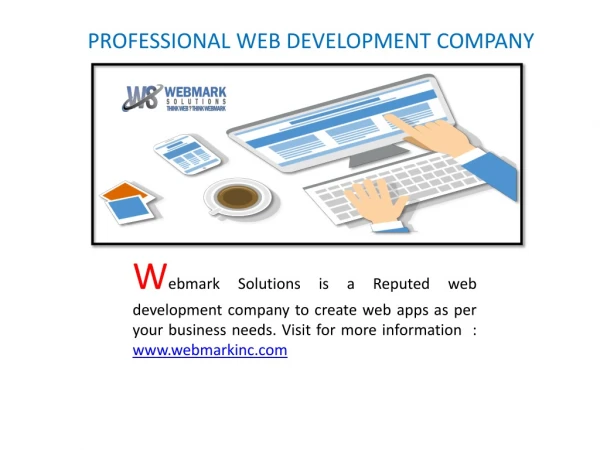 PROFESSIONAL WEB DEVELOPMENT COMPANY