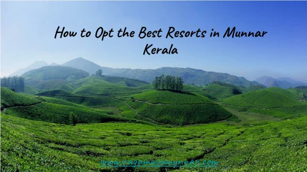 How to Opt the Best Resorts in Munnar Kerala