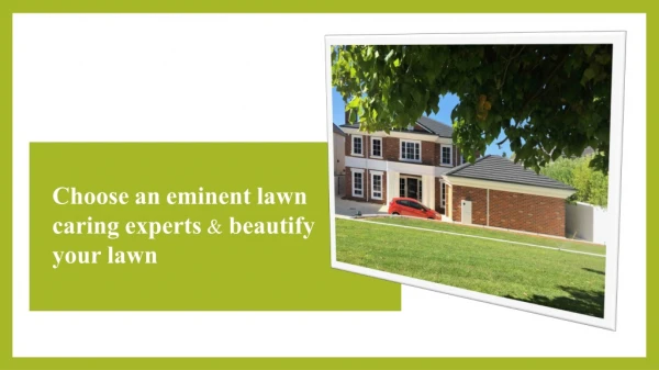 Choose an eminent lawn caring experts & beautify your lawn