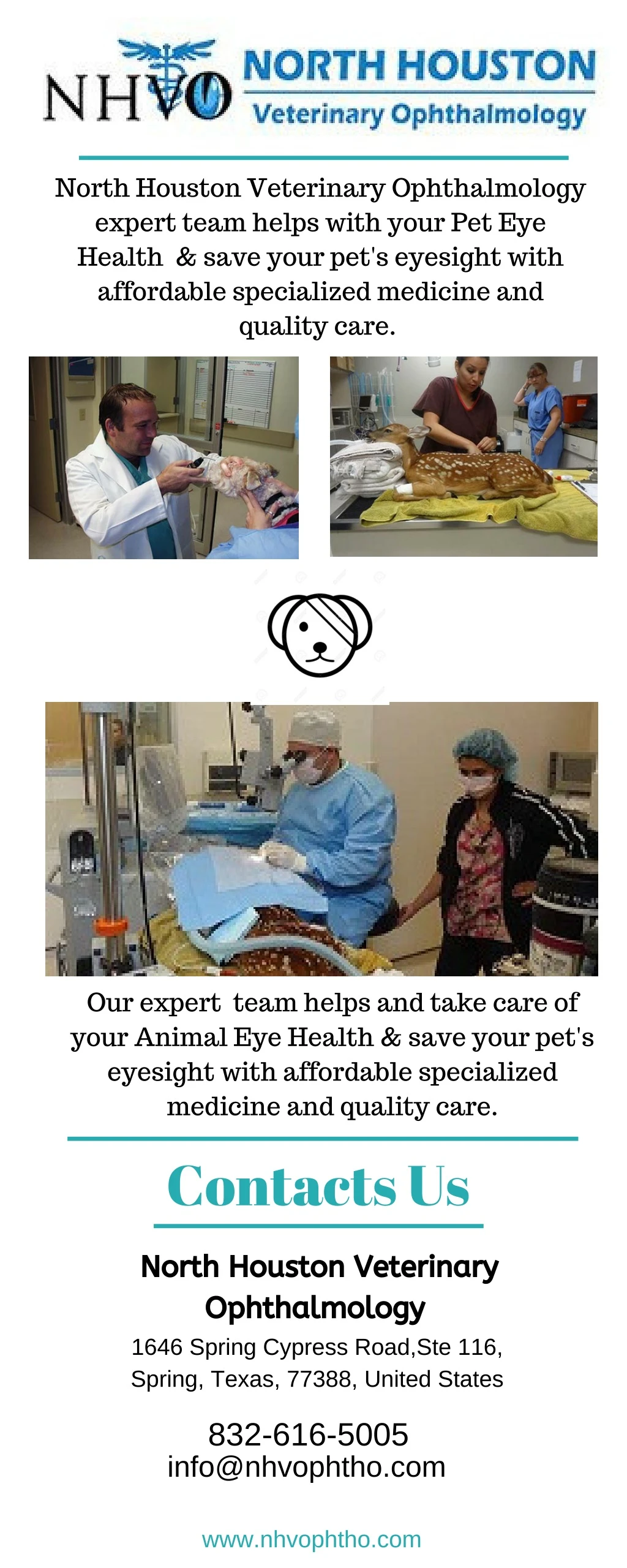 north houston veterinary ophthalmology expert