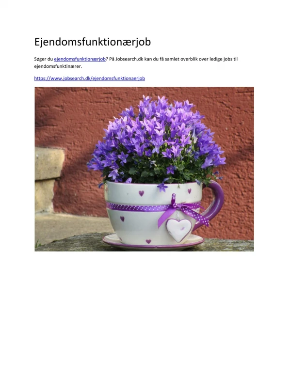 ejendomsfunktion rjob