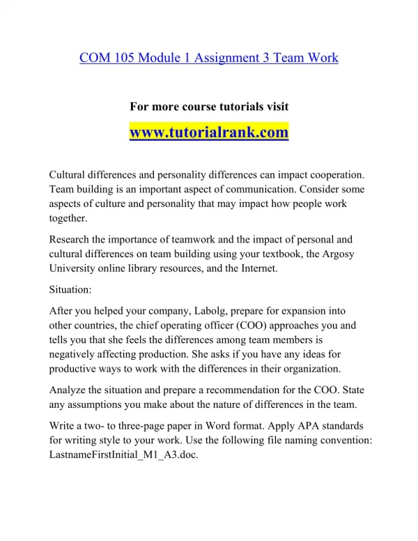 com 105 module 1 assignment 3 team work