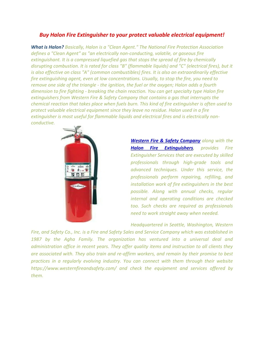 buy halon fire extinguisher to your protect