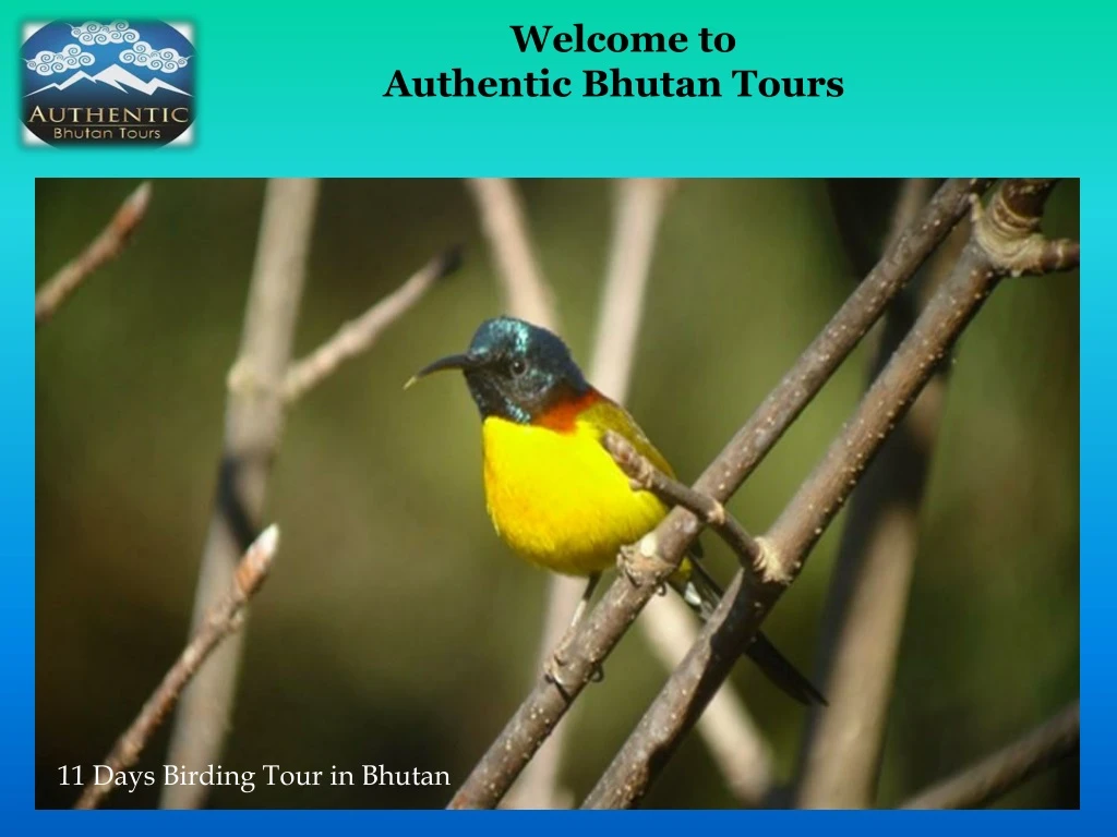 welcome to authentic bhutan tours