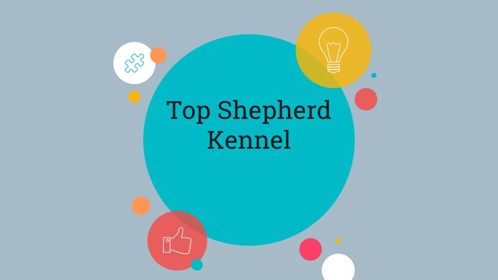 top shepherd kennel best german shepherd breeders in california