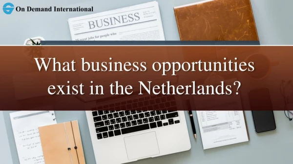 Netherlands Means Business | On Demand International