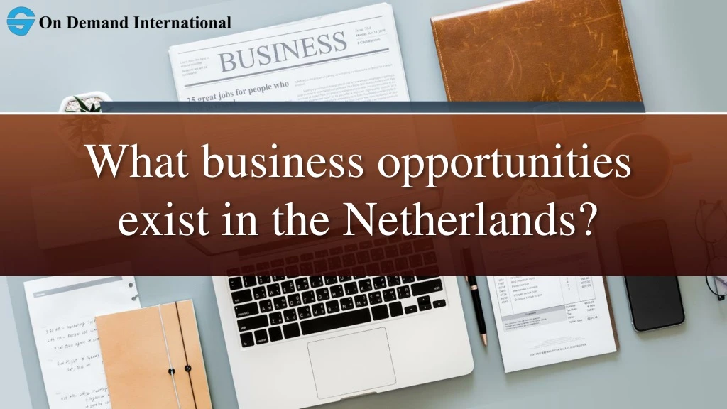 what business opportunities exist in the netherlands