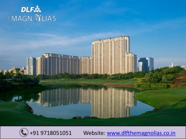 DLF Mangolias in Golf Course Road, Sector 54 Gurgaon | DLF The Mangolias