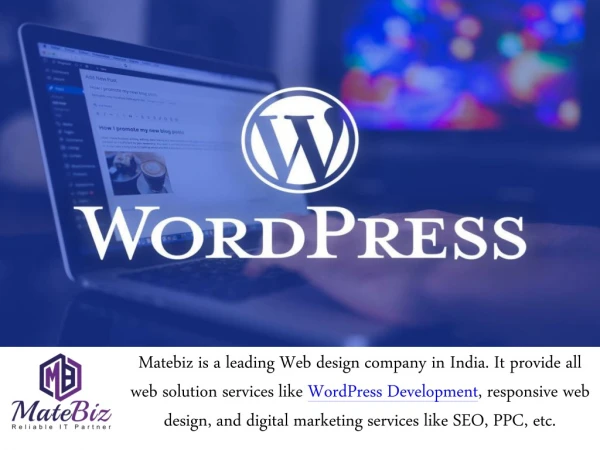 Affordable professional WordPress Services for your website