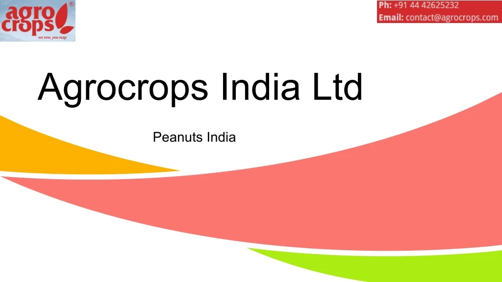 agrocrops india ltd peanuts india