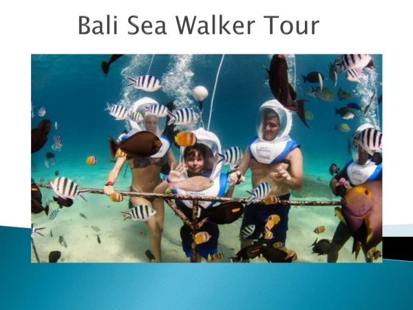 Bali sea walker tour packages from India at the best amazing price