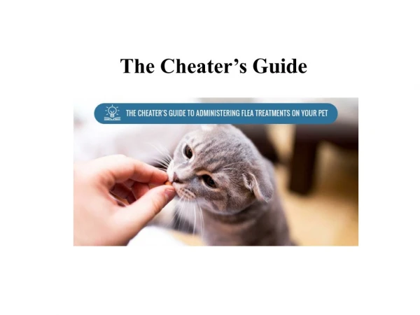 The Cheater's Guide to administering Flea Treatments | BudgetVetCare