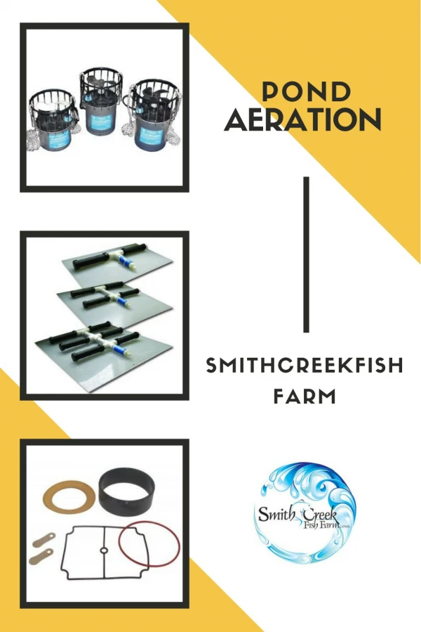 Best Pond and Lake Aeration with Complete Aeration Systems - SmithCreekFishFarm