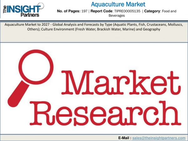 Global Aquaculture Market 2017 to account to US$ 509,743.0 Mn