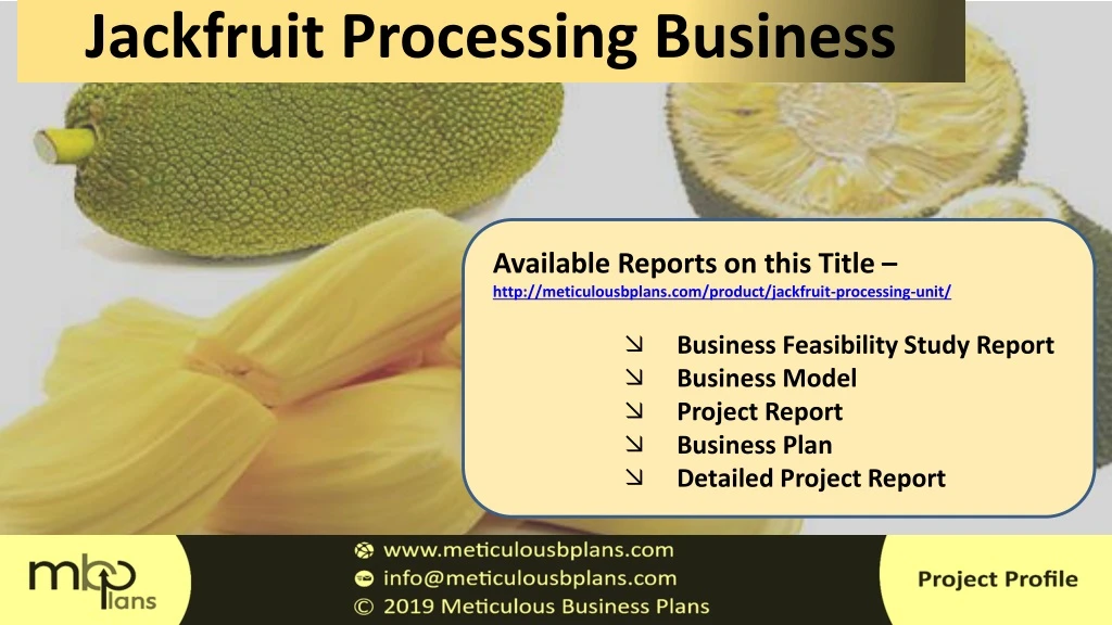 jackfruit processing business