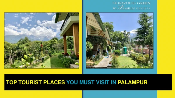 Top Tourist Places in Palampur, Himachal Pradesh