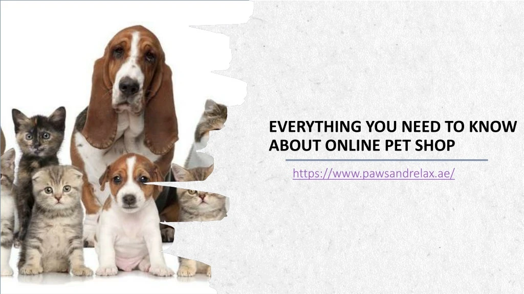 everything you need to know about online pet shop
