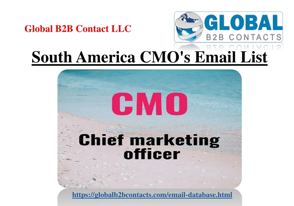 south america cmo s email list