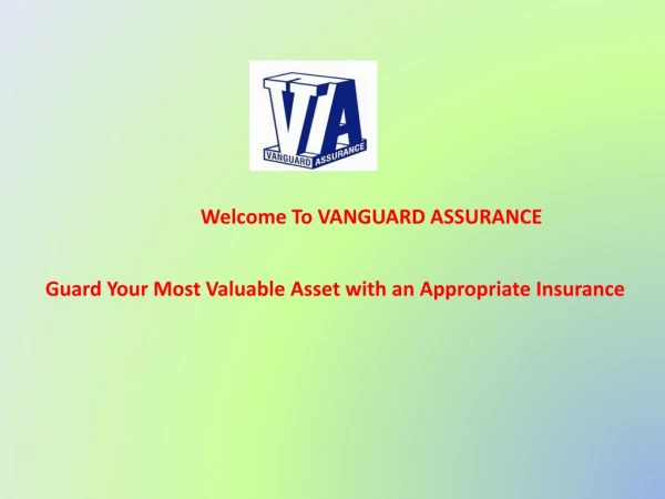 Guard Your Most Valuable Asset with an Appropriate Insurance