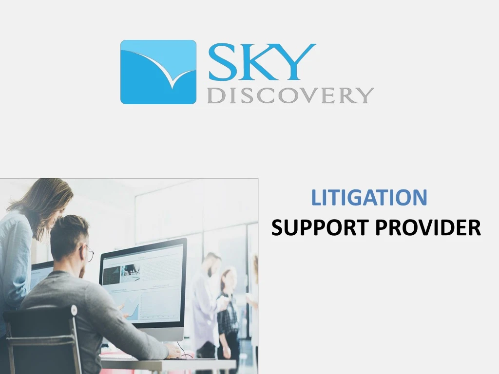 litigation support provider