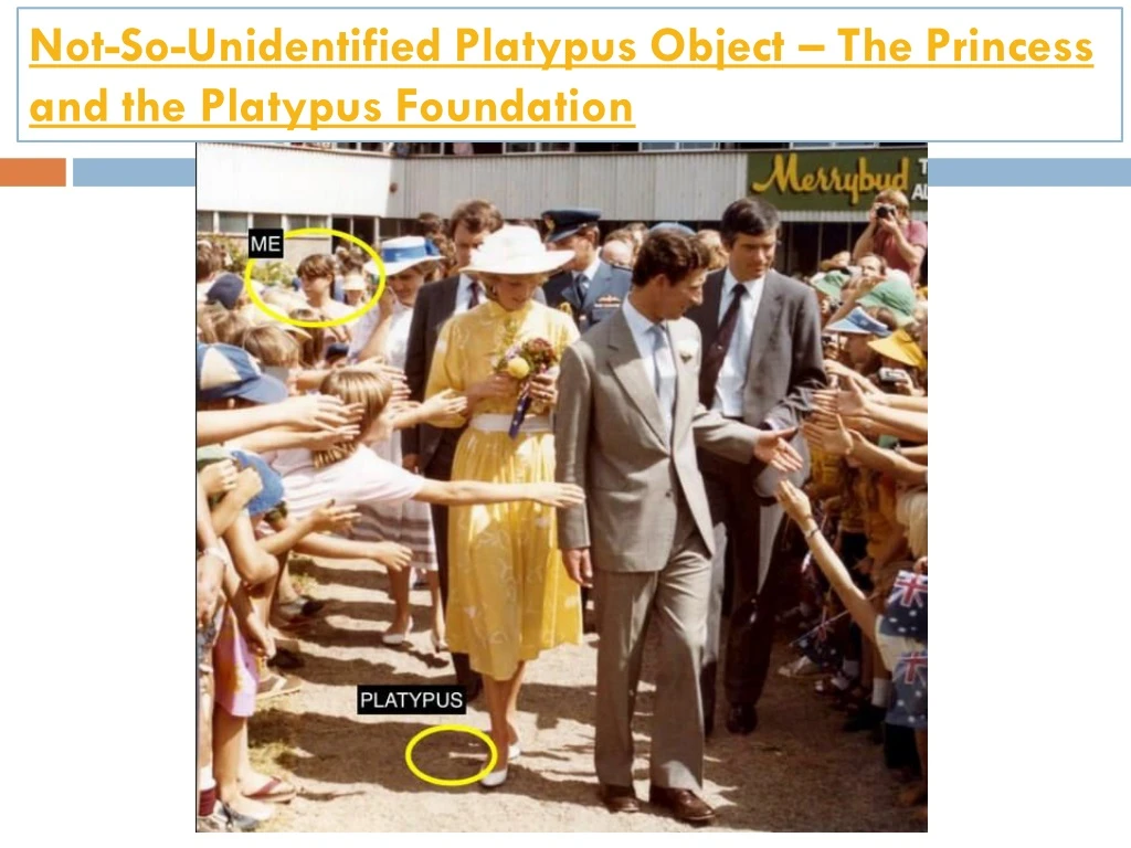 not so unidentified platypus object the princess