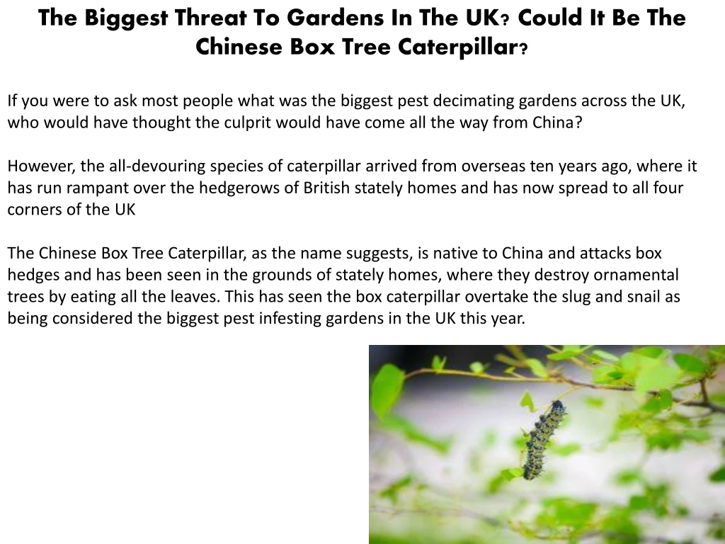 the biggest threat to gardens in the uk could
