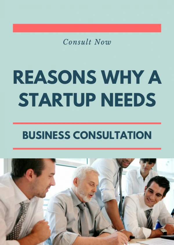 Reasons Why Startup Needs Business Consultation