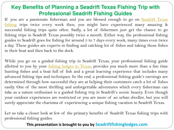 Key Benefits of Planning a Seadrift Texas Fishing Trip with Professional Seadrift Fishing Guides