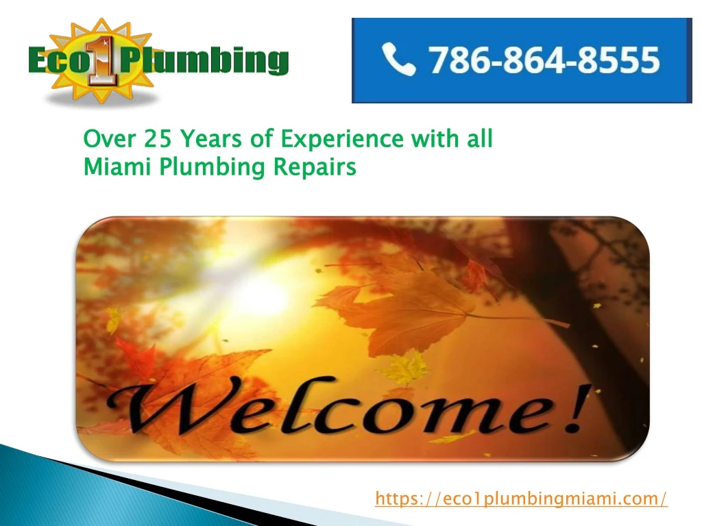 over 25 years of experience with all miami