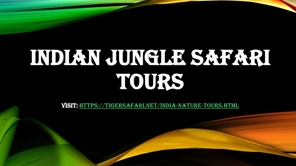 indian jungle safari tours